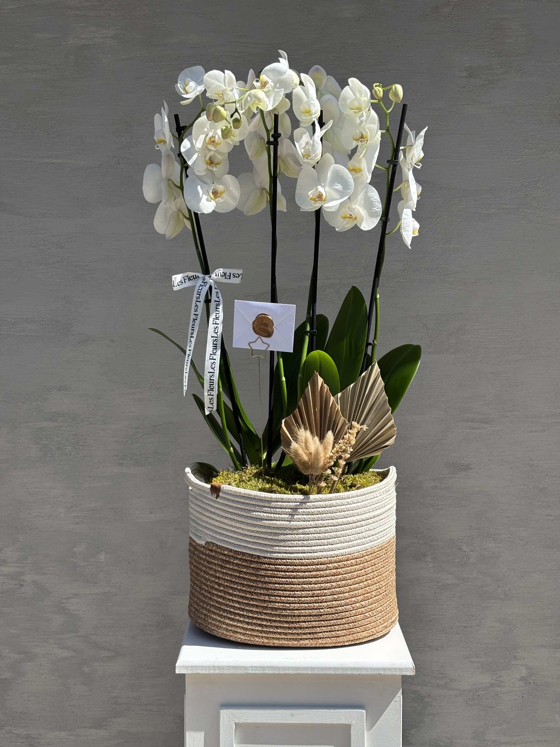 Pure Linen – Hasır Saksıda Beyaz Orkide 1 Pure Linen – Hasır Saksıda Beyaz Orkide